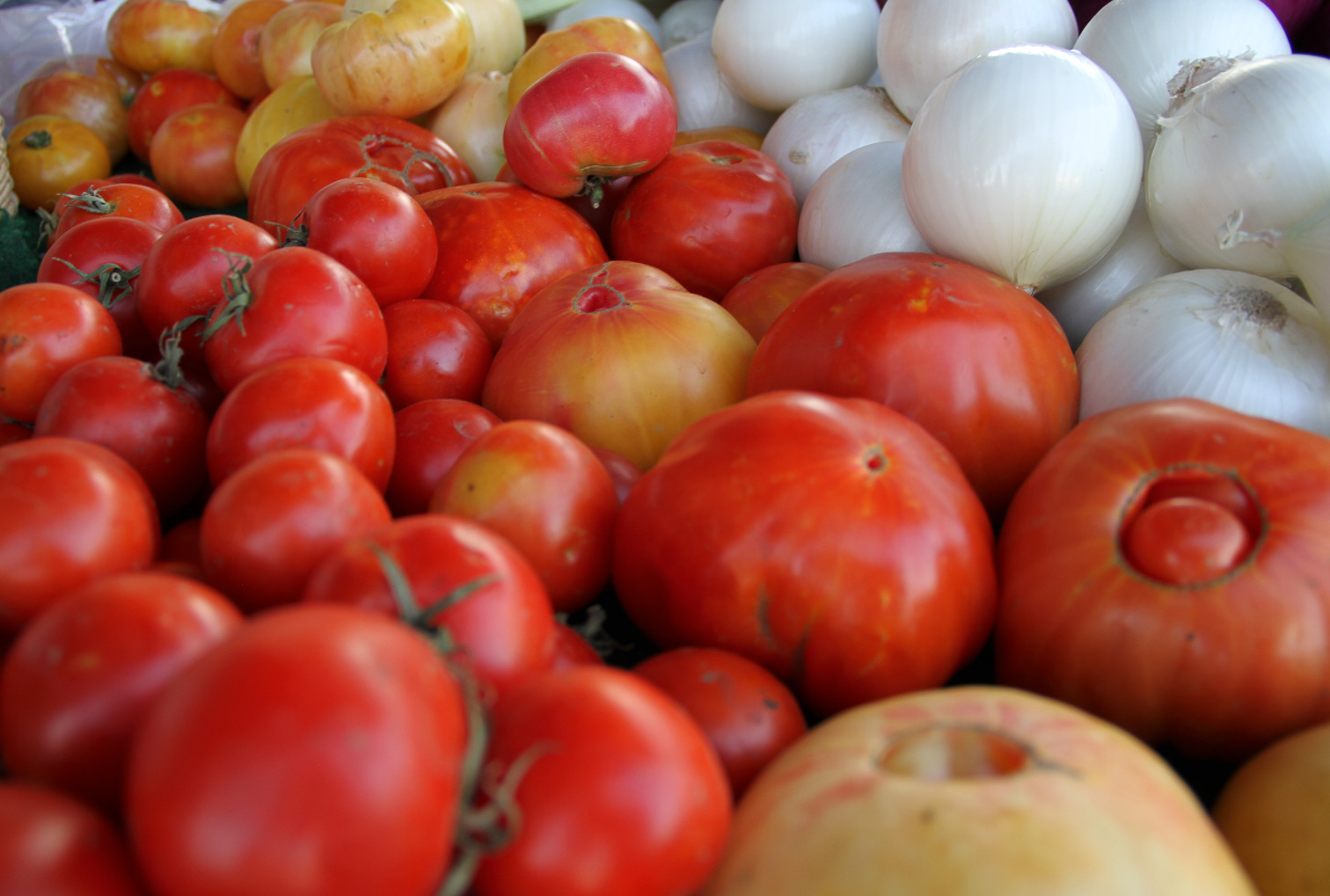 Fresh heirloom tomatoes and white onions at the Lincoln Heights Farmers Market